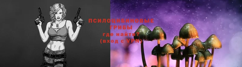 Псилоцибиновые грибы Magic Shrooms  Иннополис 